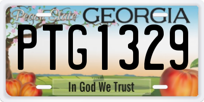 GA license plate PTG1329