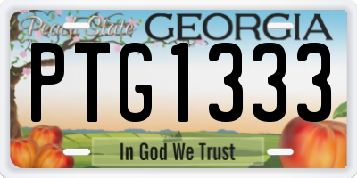 GA license plate PTG1333