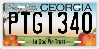 GA license plate PTG1340