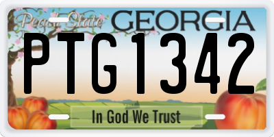 GA license plate PTG1342