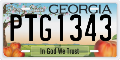 GA license plate PTG1343