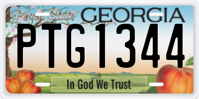 GA license plate PTG1344