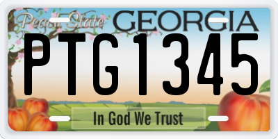 GA license plate PTG1345