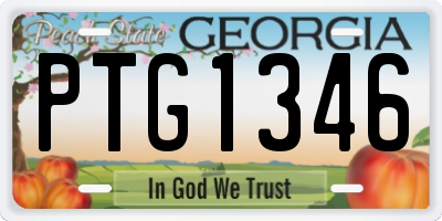 GA license plate PTG1346