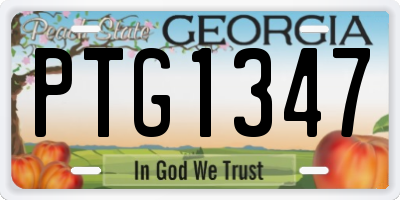 GA license plate PTG1347