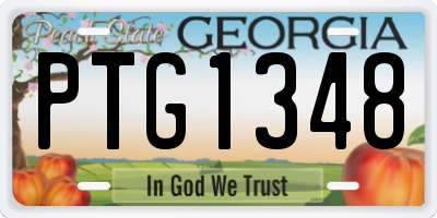 GA license plate PTG1348