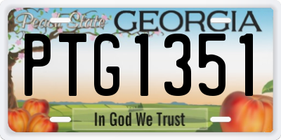 GA license plate PTG1351