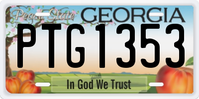 GA license plate PTG1353