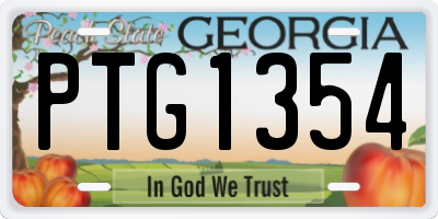 GA license plate PTG1354