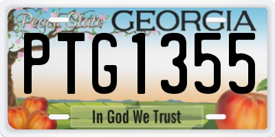 GA license plate PTG1355