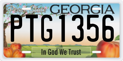 GA license plate PTG1356