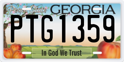 GA license plate PTG1359