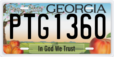 GA license plate PTG1360