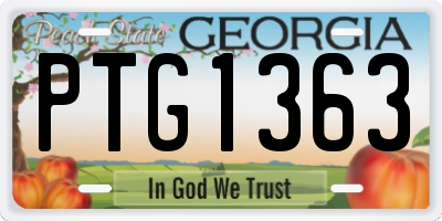 GA license plate PTG1363