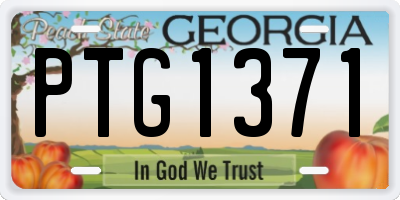 GA license plate PTG1371