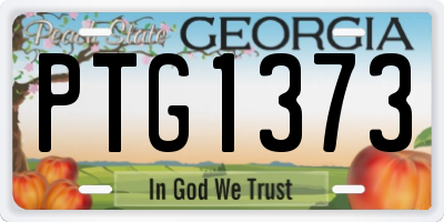 GA license plate PTG1373