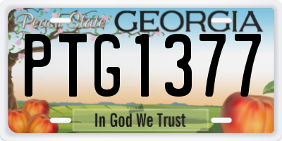GA license plate PTG1377