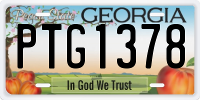 GA license plate PTG1378