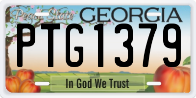 GA license plate PTG1379