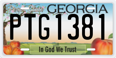 GA license plate PTG1381
