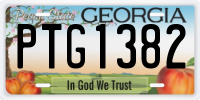 GA license plate PTG1382