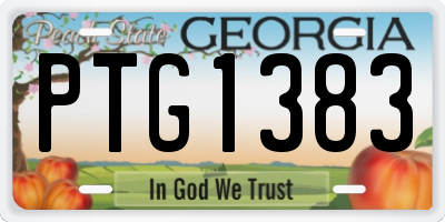 GA license plate PTG1383