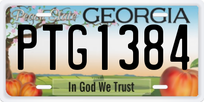 GA license plate PTG1384