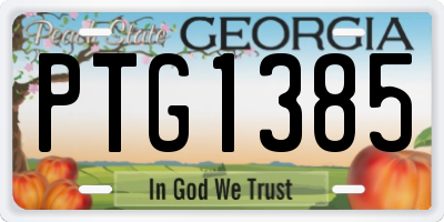 GA license plate PTG1385