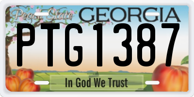 GA license plate PTG1387