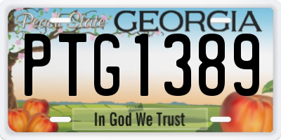 GA license plate PTG1389