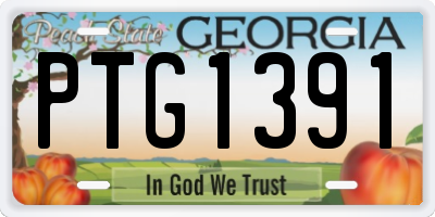 GA license plate PTG1391