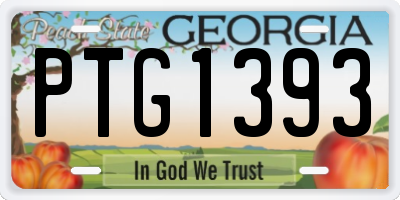 GA license plate PTG1393