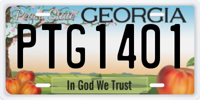 GA license plate PTG1401