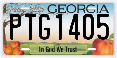 GA license plate PTG1405