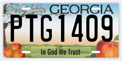 GA license plate PTG1409