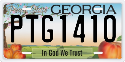 GA license plate PTG1410