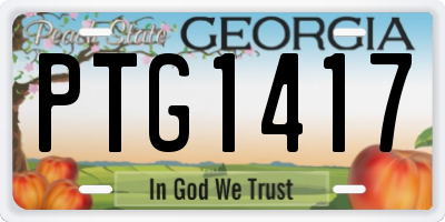 GA license plate PTG1417
