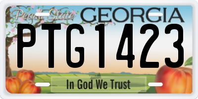 GA license plate PTG1423