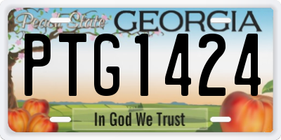 GA license plate PTG1424