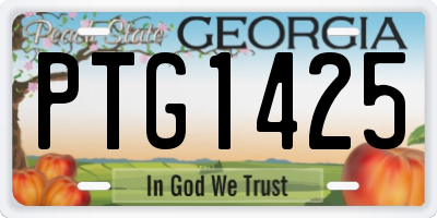 GA license plate PTG1425