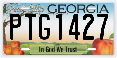 GA license plate PTG1427