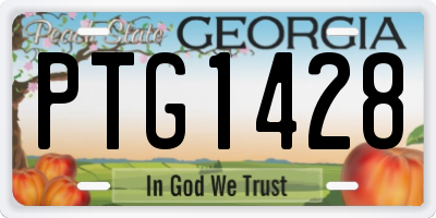 GA license plate PTG1428