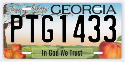GA license plate PTG1433