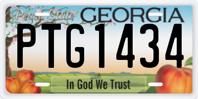 GA license plate PTG1434