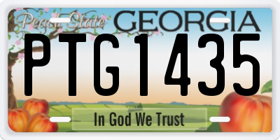 GA license plate PTG1435