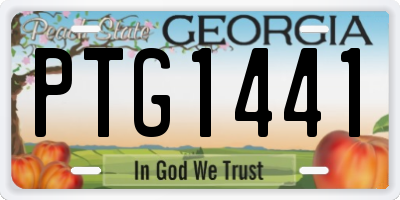 GA license plate PTG1441
