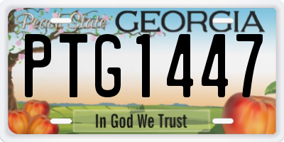GA license plate PTG1447