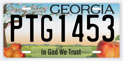 GA license plate PTG1453