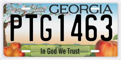 GA license plate PTG1463