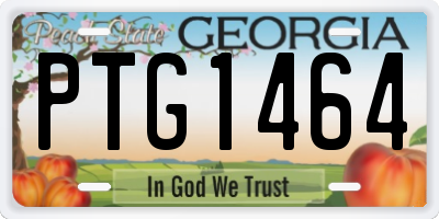 GA license plate PTG1464